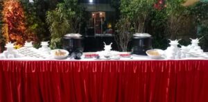 Babul-Caterer-event-at-Royal-Garden
